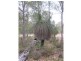 5 Honeytree Grove, Cowaramup WA 6284