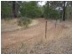 5 Honeytree Grove, Cowaramup WA 6284