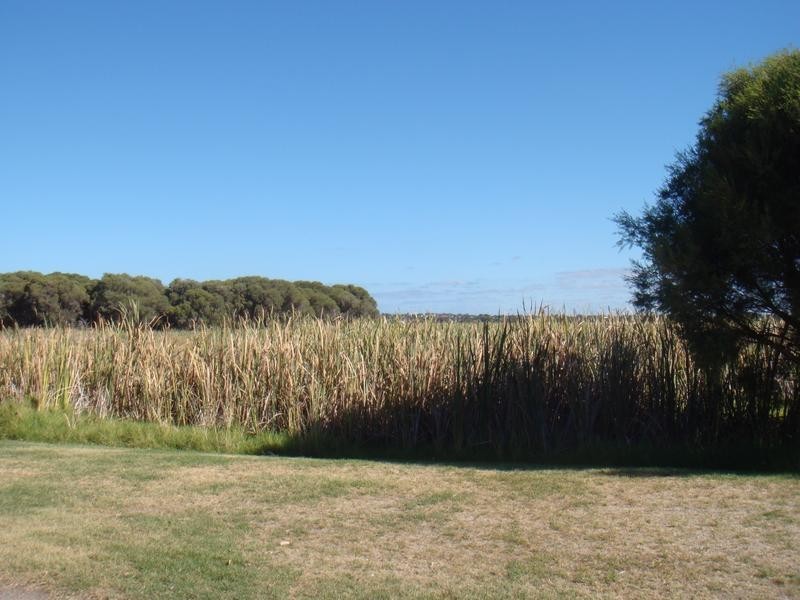 55/115 Herdsman Parade, Wembley WA 6014