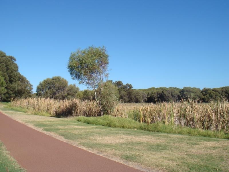 55/115 Herdsman Parade, Wembley WA 6014