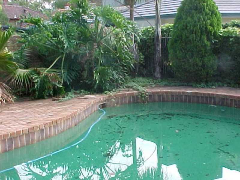 35 Thomas Street, Nedlands WA 6009