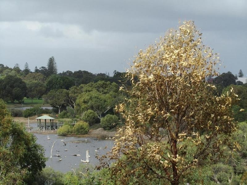 12 Nidjalla Loop, Swanbourne WA 6010