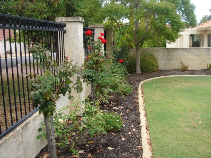 31 Colin Street, Dalkeith WA 6009