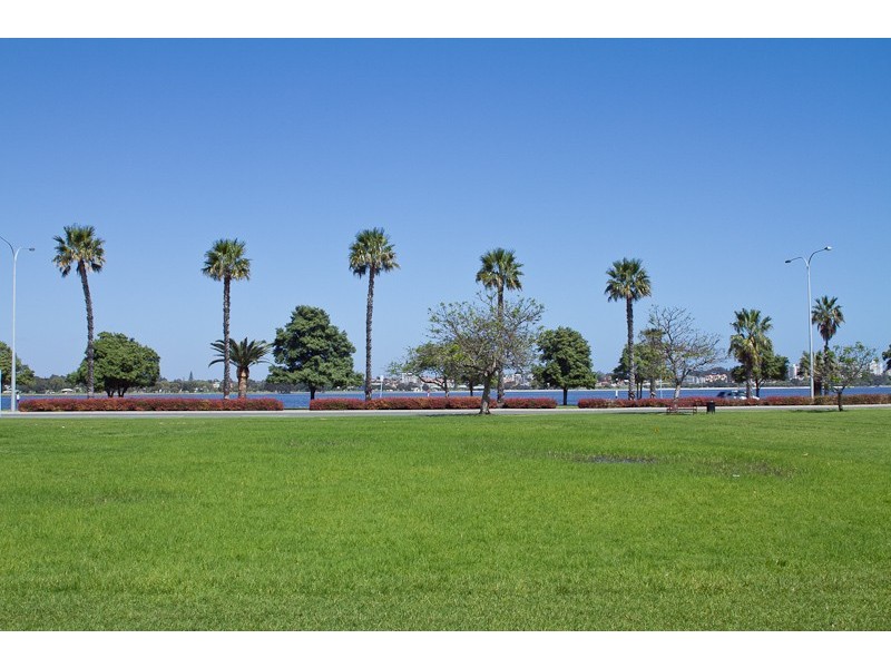 20/45 Adelaide Terrace, East Perth WA 6004