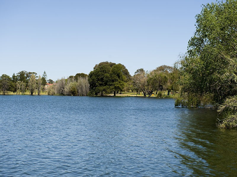 6B Wavertree Place, Leederville WA 6007