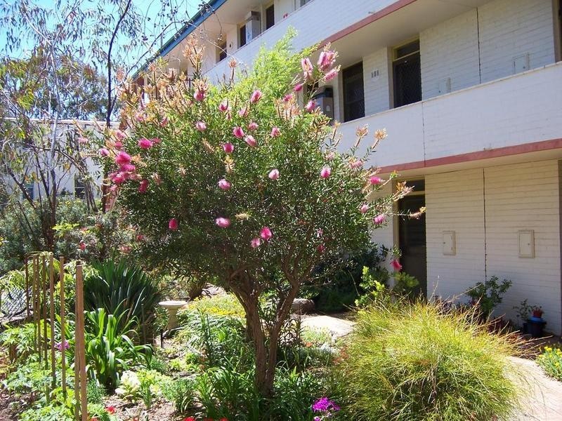 1/17-23 The Avenue, Crawley WA 6009