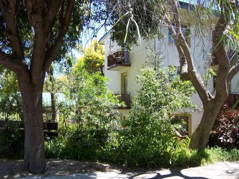 1/17-23 The Avenue, Crawley WA 6009