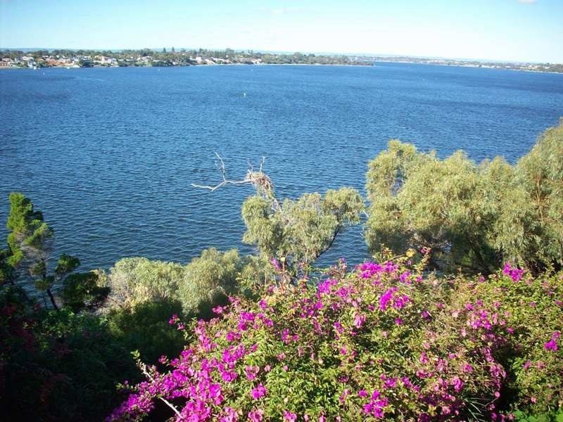 4/20 Bindaring Parade, Claremont WA 6010