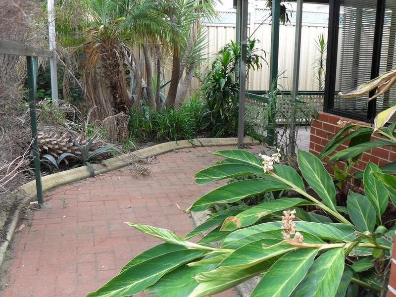 3/31 Hillside Crescent, Maylands WA 6051