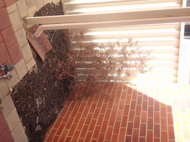 8 Doig Court, Bicton WA 6157