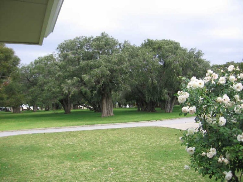 63A Birdwood Circus, Bicton WA 6157