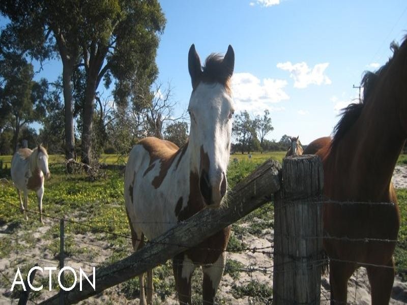 21 Utley Road, Hopeland WA 6125