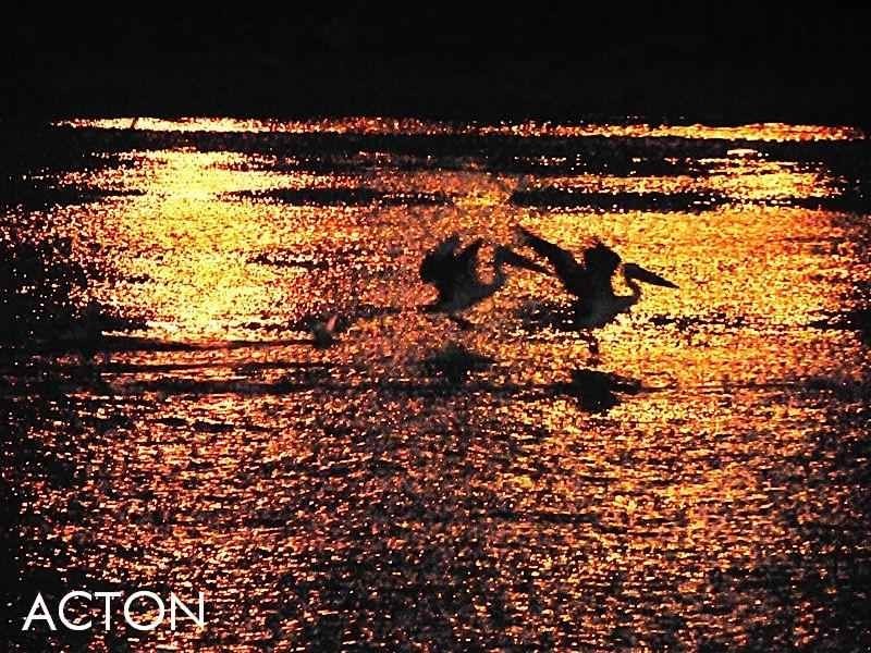 EGO3 Canning Beach Road, Applecross WA 6153