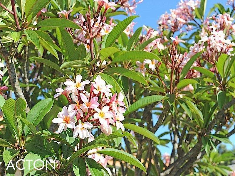 9 Michael Street, Beaconsfield WA 6162