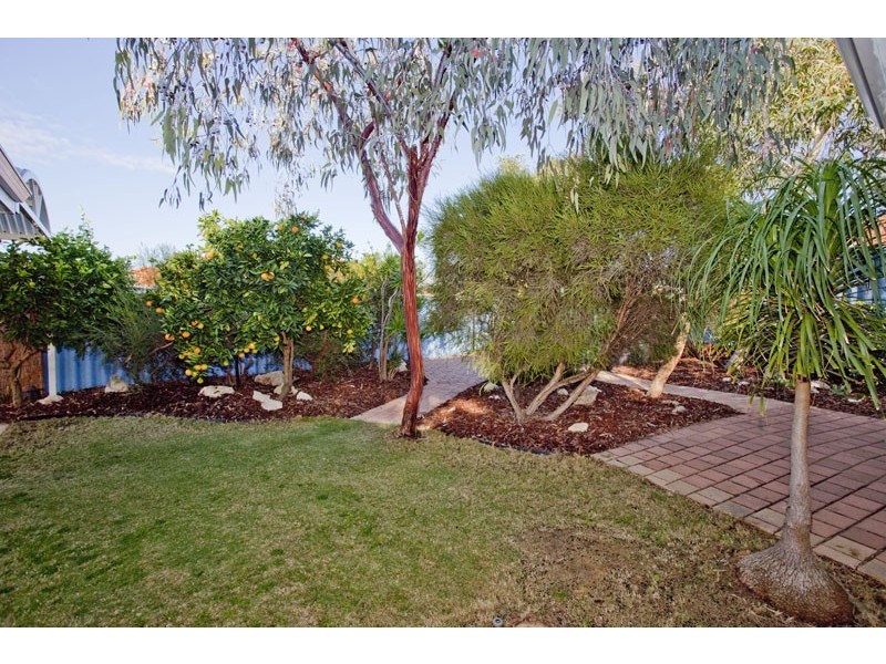 3 MEADLEY MEWS, Hamilton Hill WA 6163