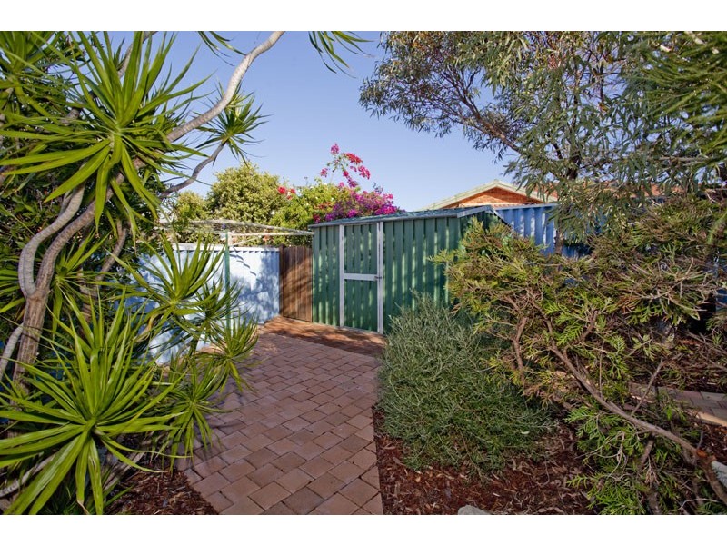 3 MEADLEY MEWS, Hamilton Hill WA 6163