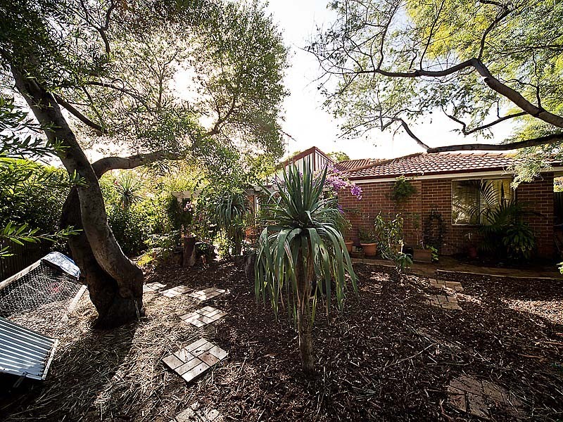 5 Collick Street, Hilton WA 6163
