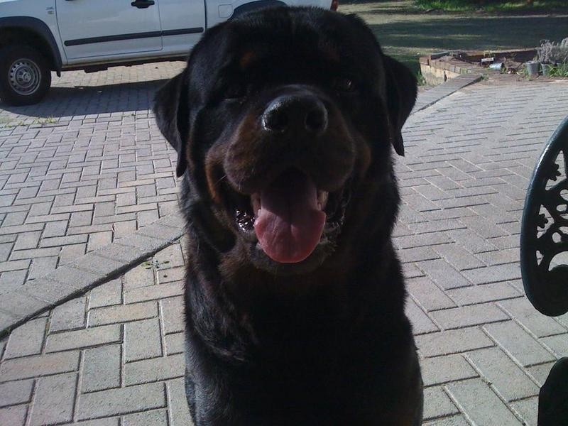 35 Old Dairy Road, Oakford WA 6121