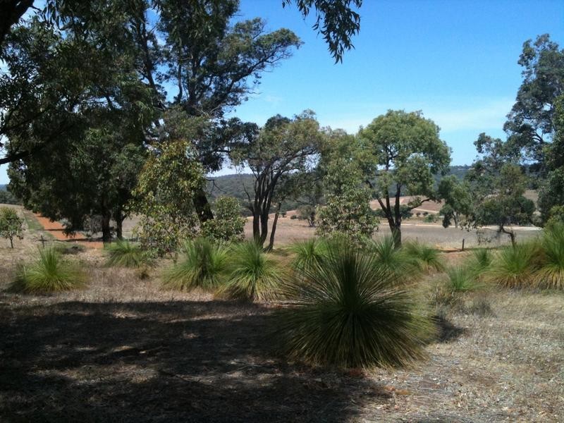 21 Tassel Court, Lower Chittering WA 6084