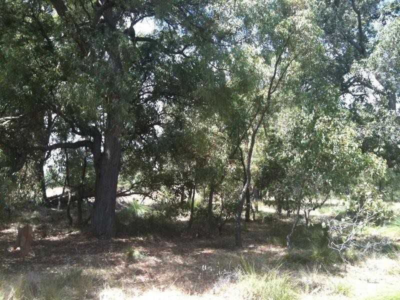21 Tassel Court, Lower Chittering WA 6084