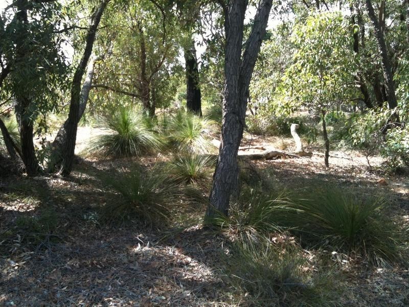 21 Tassel Court, Lower Chittering WA 6084