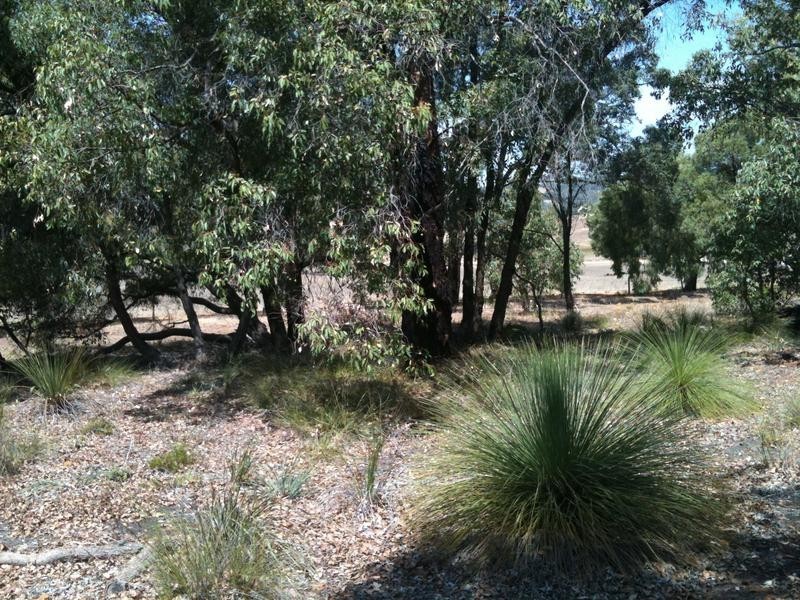 21 Tassel Court, Lower Chittering WA 6084