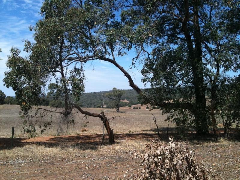 21 Tassel Court, Lower Chittering WA 6084