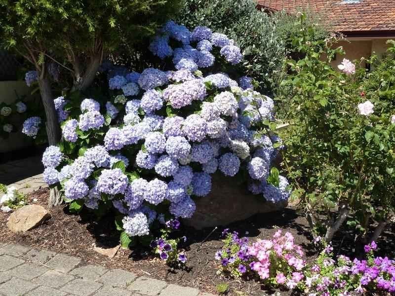 7/5 Kitchener Road, Melville WA 6156