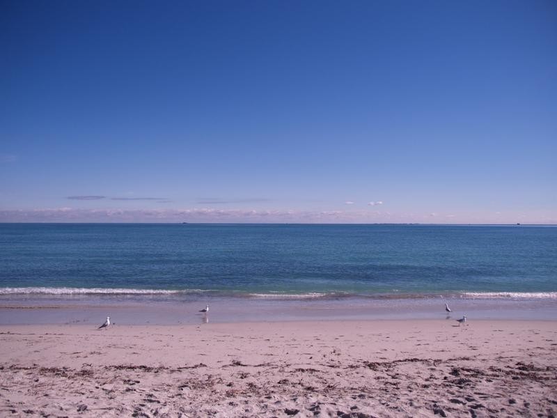 1 Breaksea Drive, North Coogee WA 6163