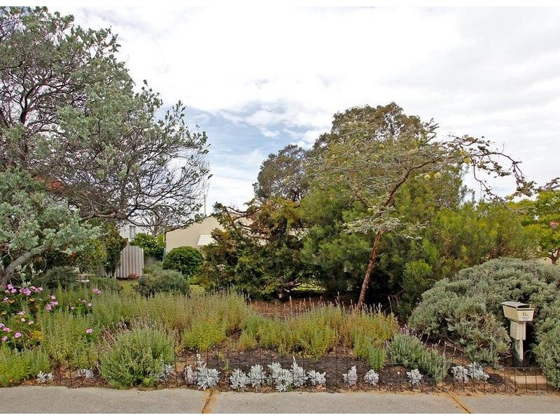 6a Petra Street, Palmyra WA 6157