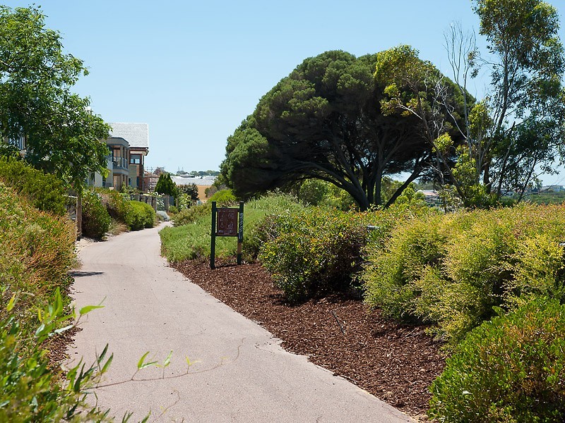 62 Thompson Road, North Fremantle WA 6159