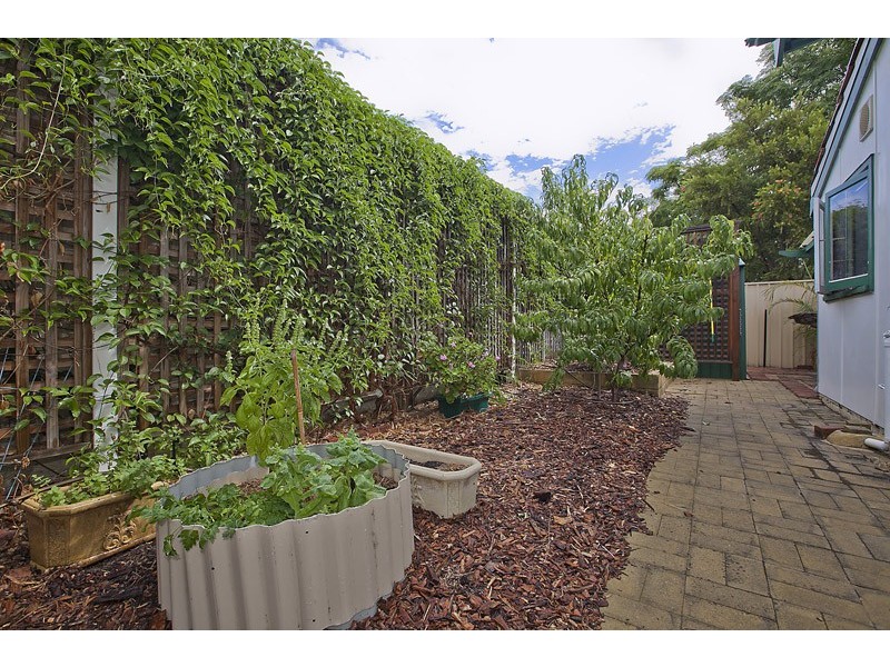 62 Nicholas Crescent, Hilton WA 6163