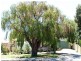 17 Kanimbla Street, Bicton WA 6157