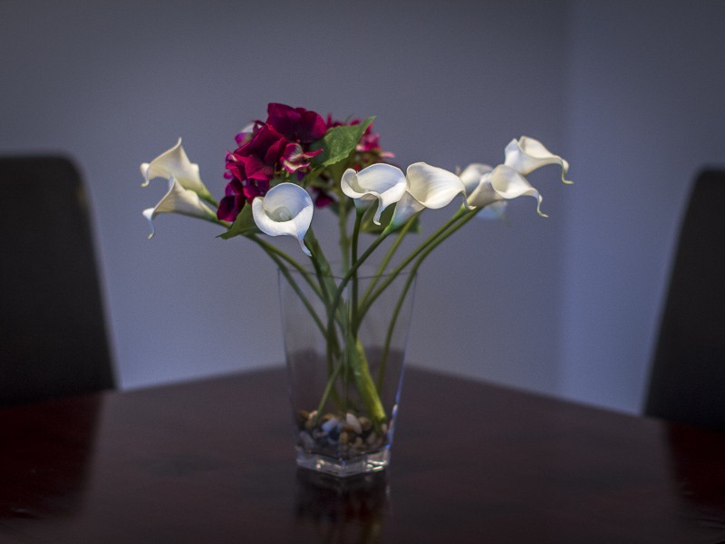 19 Bourbon Street, Hamilton Hill WA 6163