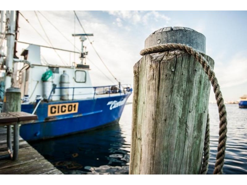 RS 8, 2 Doepel Street, North Fremantle WA 6159