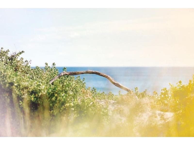 4/2 Shoalwater Street, North Coogee WA 6163