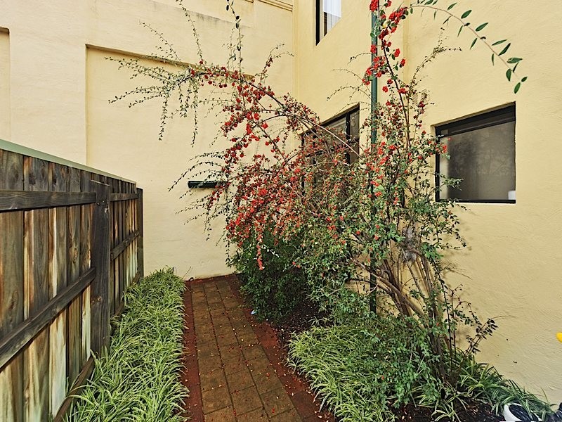 7/88 Hampton Road, Fremantle WA 6160