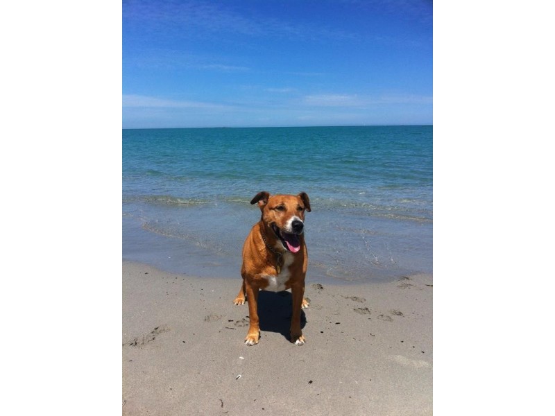 2/174 Marine Terrace, South Fremantle WA 6162