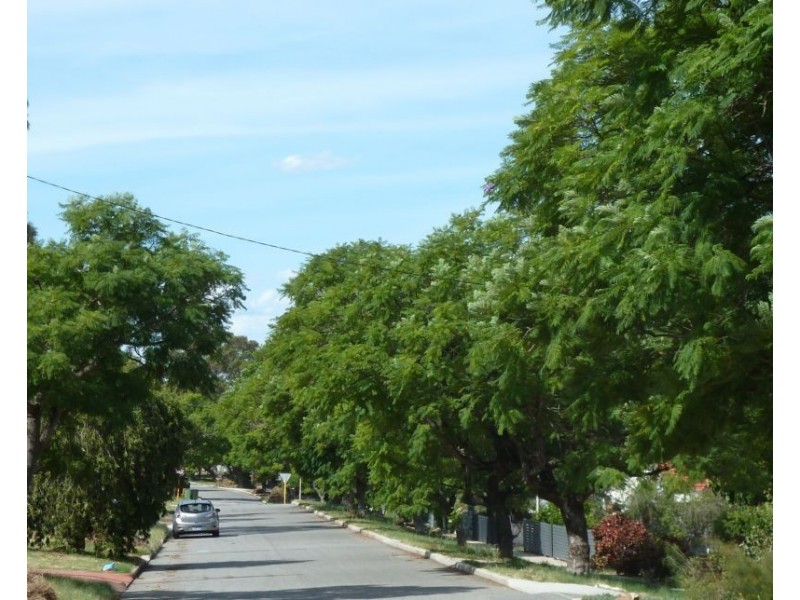 11A Nicholas Crescent, Hilton WA 6163