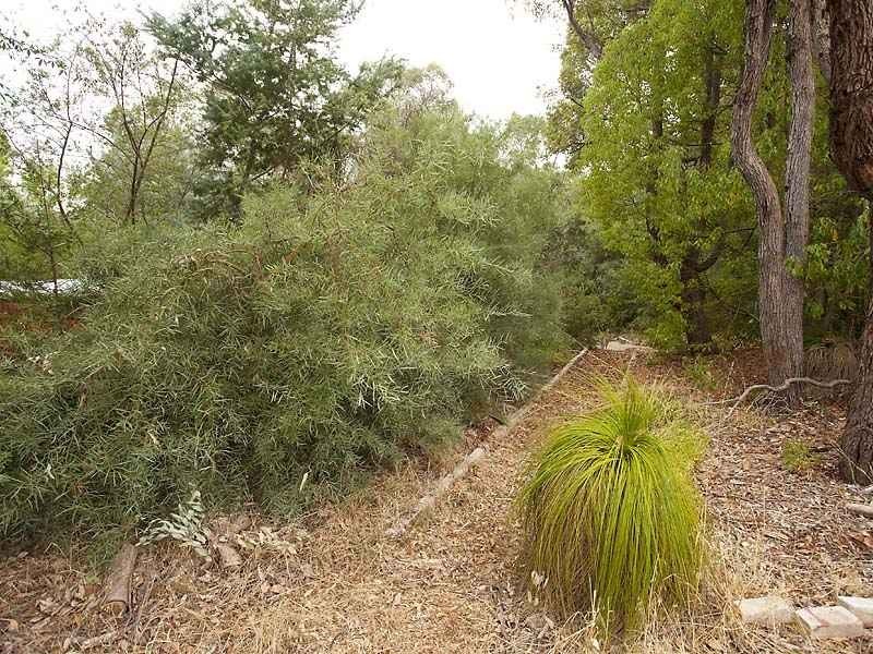 1 Henderson Road, Stoneville WA 6081