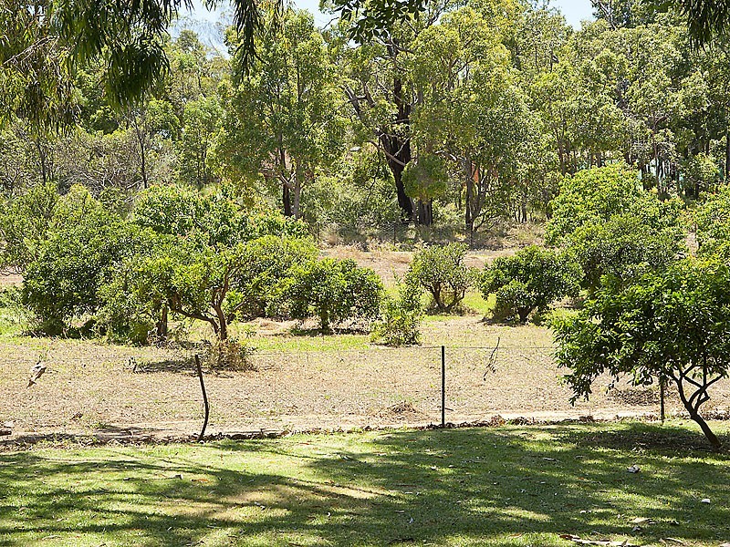 277 Holmes Road, Forrestfield WA 6058