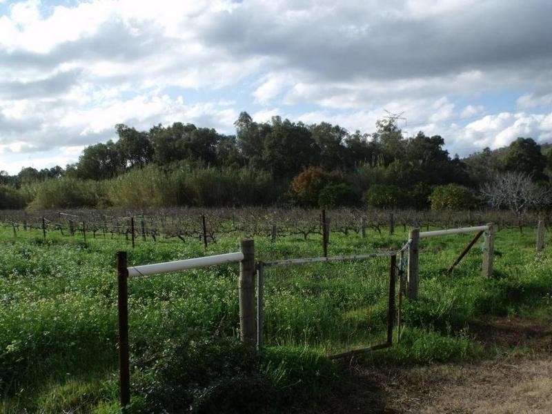 430 Maddington Road, Orange Grove WA 6109