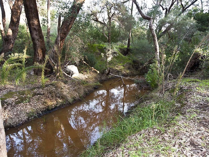 1940 Clayton Rd, Helena Valley WA 6056