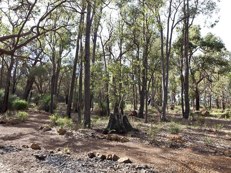 12 Hillwood Grove, Gidgegannup WA 6083