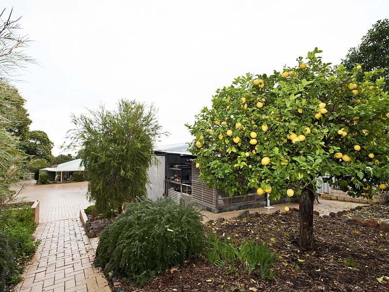 28 Ward Avenue, Greenmount WA 6056