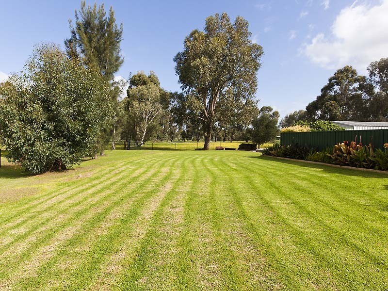 50 Dalgety Road, Middle Swan WA 6056