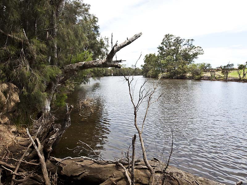 37 Avon Crescent, Viveash WA 6056