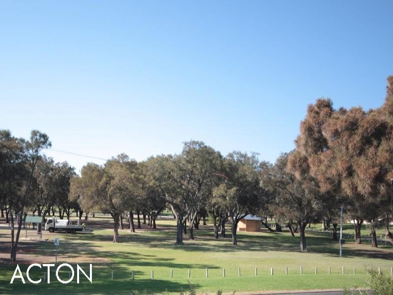 1 Carter Street, Halls Head WA 6210