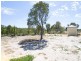 Lot 101 Greyhound Retreat, Nambeelup WA 6207