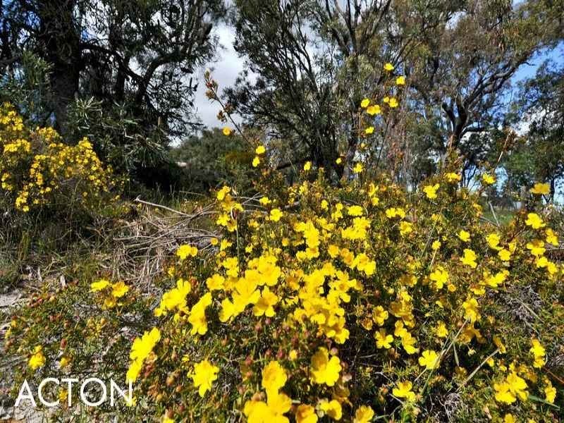 114 Stacey Rise, Lake Clifton WA 6215